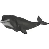 Collecta Baleine tête de Groenland XL - Figurine animalière