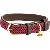 Kentucky Collier De Chien Nylon Plaited