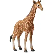 Collecta Figurine girafe marron 3-6 ans marron 3-6 ans