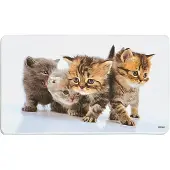 Kesper 5x Brettchen 'Katze', Planche à découper, Multicolore