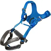 Ocun Doppler Junior Harness Bleu Enfants
