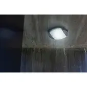 Lutec Designer ceiling lamp Sweep anthracite