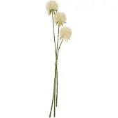 J-Line Fleur allium 3 pieces plastique blanc l