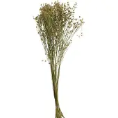 J-Line Botte fleurs de lin sechees lin jaune