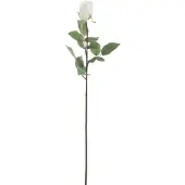 J-Line Rose fermee fresh touch plastique blanc