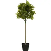 Mica Decorations Laurier Arbre Artificiel Vert H120