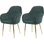 Mendler Chaise de salle à manger -F18 (lot de 2)