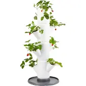 Gusta Garden Sisi Fraise (27 x 27 x 77 cm)