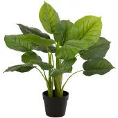 J-Line Pothos plante en pot plastique vert