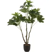 J-Line Pachira en pot plastique vert small