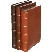 J-Line Livres resine marron large