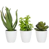 J-Line Plante grasse/aloe vera/lotus + pot vert small assortiment de 3