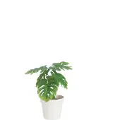 J-Line Feuille philodendron + pot plastique vert/blanc medium