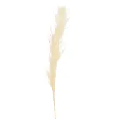 J-Line Branche plumes pampas ecru medium