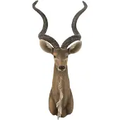 J-Line Tête antilope poly brun