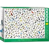 Eurographics Puzzle Le monde des oiseaux 2000 pièces
