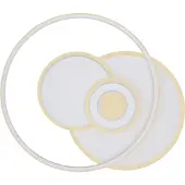 Globo LED Plafond 50W RODERICK 48442-50 Globo