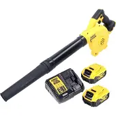 DeWalt DCV 100 P2 Souffleur de feuilles sans fil 18 V + 2x Batteries 5,0 Ah + Chargeur