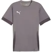 Puma T-Shirt fonctionnel gris / gris foncé / blanc