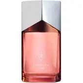 Mercedes-benz Land Eau de Parfum pour homme Rechargeable 100 ml