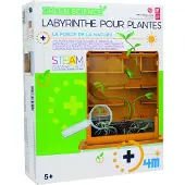 4M Labyrinthe de plantes