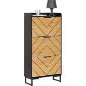 SoBuy Armoire à Chaussures 3 Abattants Étroite FSR164-SCH
