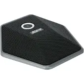 AVer Microphone d'expansion 10M