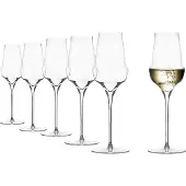Stölzle Coupe à champagne Cocoon 340 ml, Verres à vin, Transparent