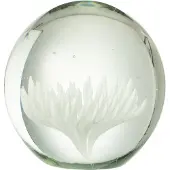 J-Line Presse papier aster rond verre transparent/blanc