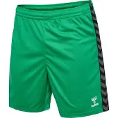 Hummel Pantalon de sport 'Authentic' gris foncé / vert gazon / noir / blanc