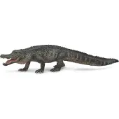 Collecta COLLECTIF Alligator d'Amérique