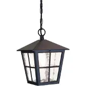 Elstead Lighting Lampe d'extérieur suspendue Canterbury 1xE27 noir Elstead BL48M-BLACK