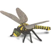 Collecta Libellule