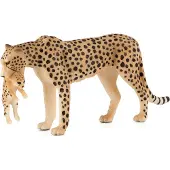 Small Foot Guépard femelle avec son petit