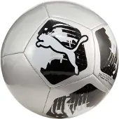 Puma Big Cat ball