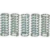 TRW Lucas Ressorts d'embrayage MEF129-5 1050 Speed Triple ZZR 1200 CBR 600 F