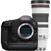 Canon EOS R1 + RF 100-300mm F/2.8L IS USM