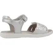 Garvalin 242424g Couleur Argent
