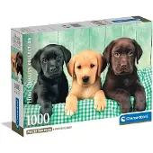 Clementoni 1000 pièces. CB Collection de haute qualité Trois laboratoires
