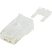 ACT Connecteur modulaire UTP Cat6, RJ45 (U/UTP, CAT6)