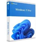 Microsoft Ms Sb Windows 11 Pro 64bit Fr Operating System Clair