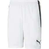 Puma Short Teamliga