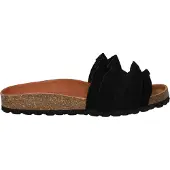 Verbenas Mule 'Rocio' noir
