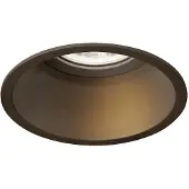 Wever & Ducre Deeper 1.0 PAR16 Projecteur Bronze | False Ceiling