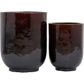 House Doctor Plants | Pho | Marron Foncé | 203840801