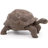 Papo Figurine de jeu Tortue géante des Galápagos