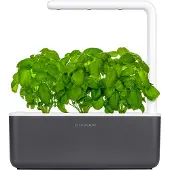 Click & Grow Smart Garden 3 - Gris anthracite