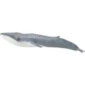 Collecta Baleine bleue - (XL)