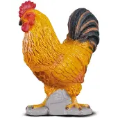 Collecta Kohout