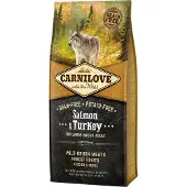 Carnilove Large Adult saumon avec à la dinde pour chien